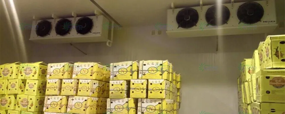 Fruit Cool Room
