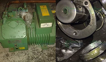 Copy Bitzer compressor