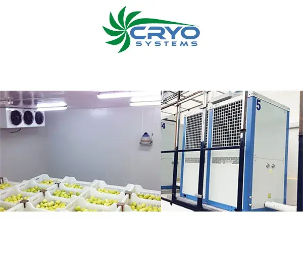 Vegetable Cold Storage
