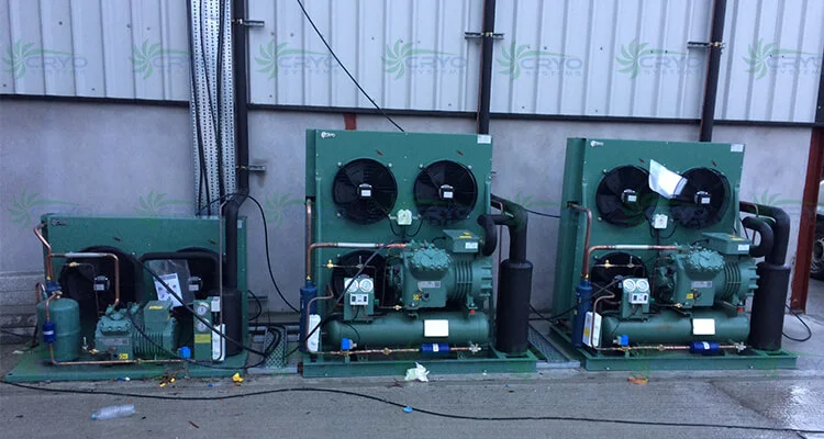 bitzer condensing units