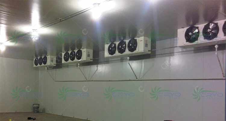 freezer room for chicken